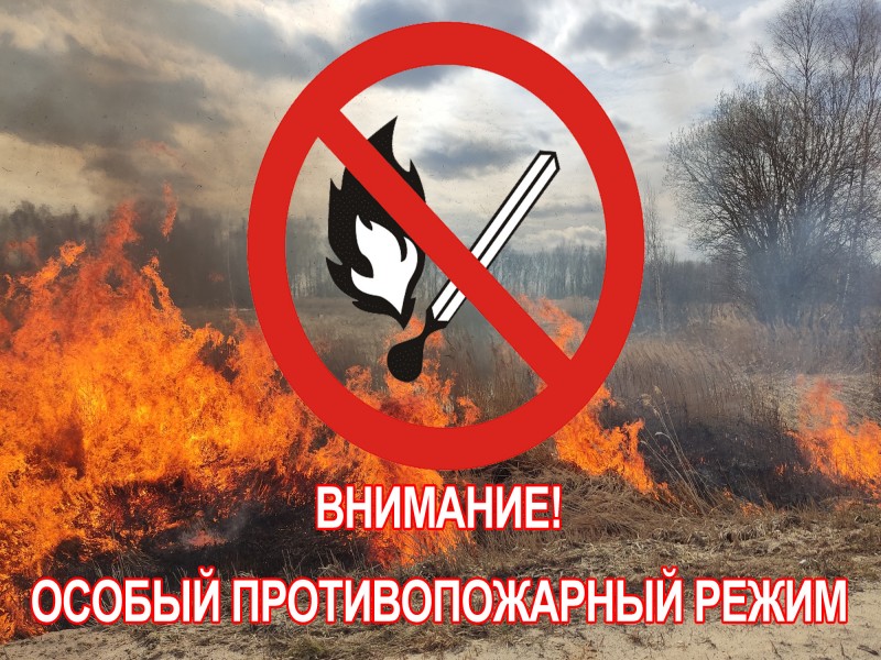 В Кировской oбласти введён особый противопожарный режим.