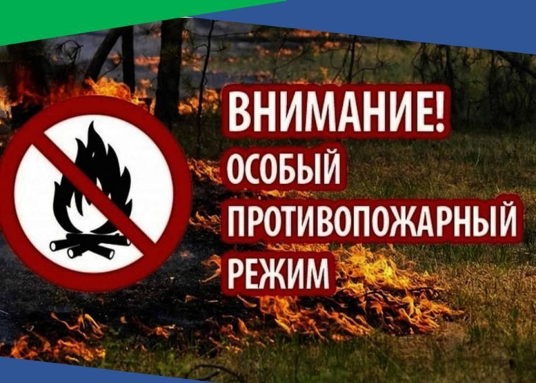 В Кировской области введён особый противопожарный режим.
